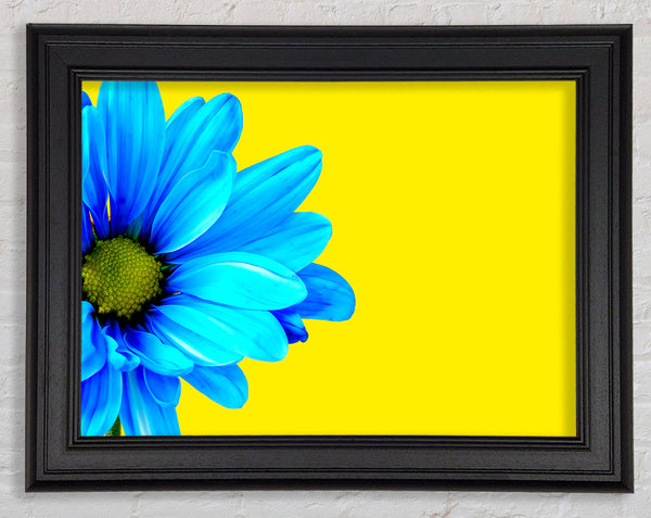 Blue Daisy On Yellow Framed Print