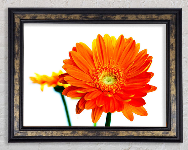 Orange Flames Framed Print
