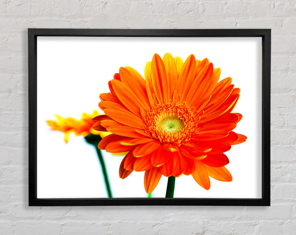 Orange Flames Framed Print