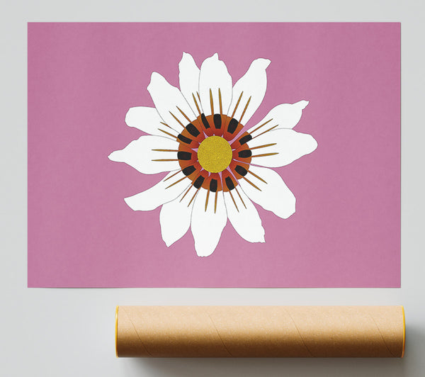White Daisy Pinks Poster
