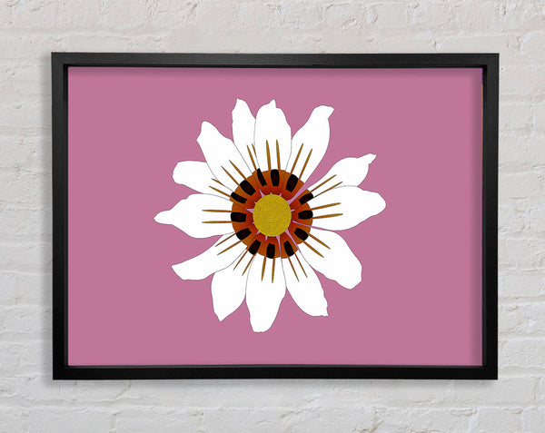 White Daisy Pinks Framed Print