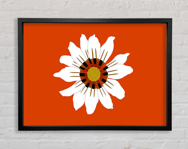 White Daisy Oranges Framed Print