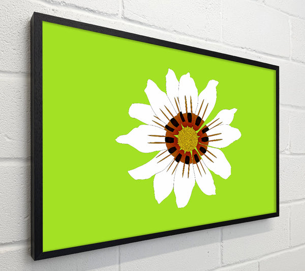 White Daisy Greens