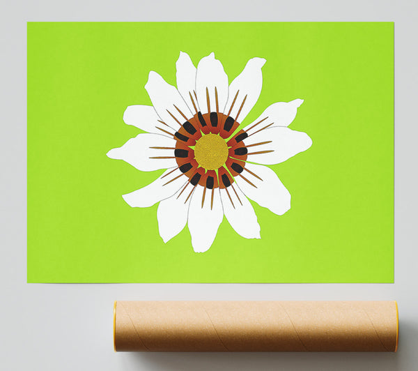 White Daisy Greens Giclee Print