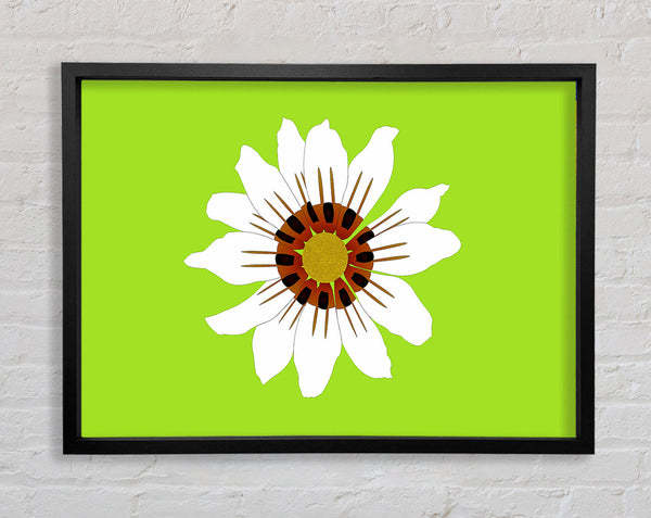 White Daisy Greens Framed Print