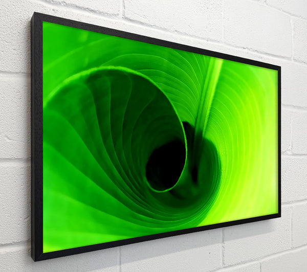 Twist Of A Green Leaf