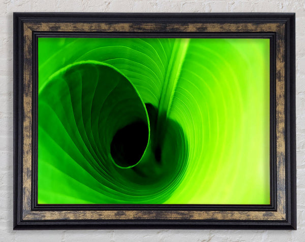 Twist Of A Green Leaf Framed Print