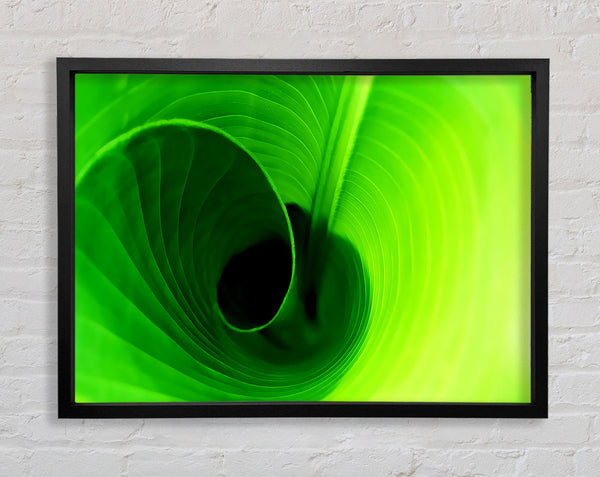 Twist Of A Green Leaf Framed Print