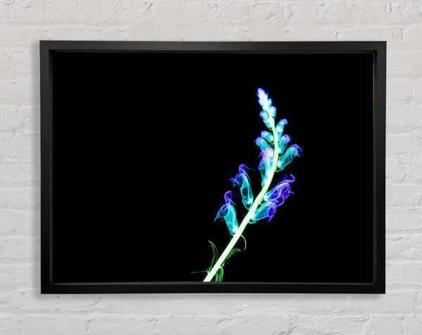 X-Ray Purple Framed Print