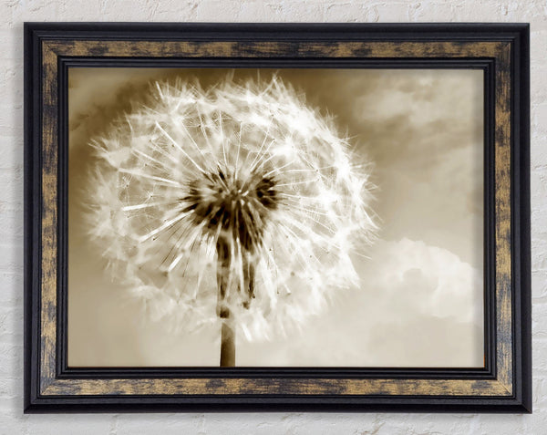 Chocolate Fairy Flower Framed Print