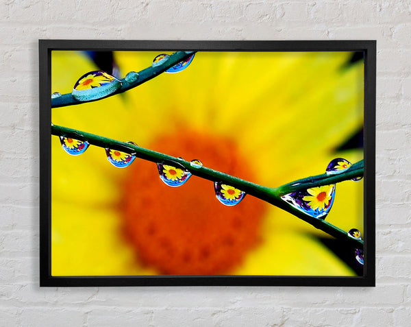 Dewdrop Reflections Framed Print