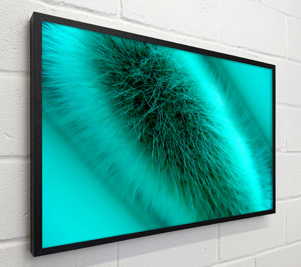 Fur Stem
