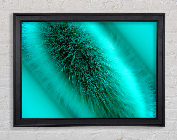 Fur Stem Framed Print