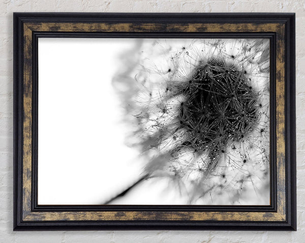 Dewdrop Heaven Framed Print