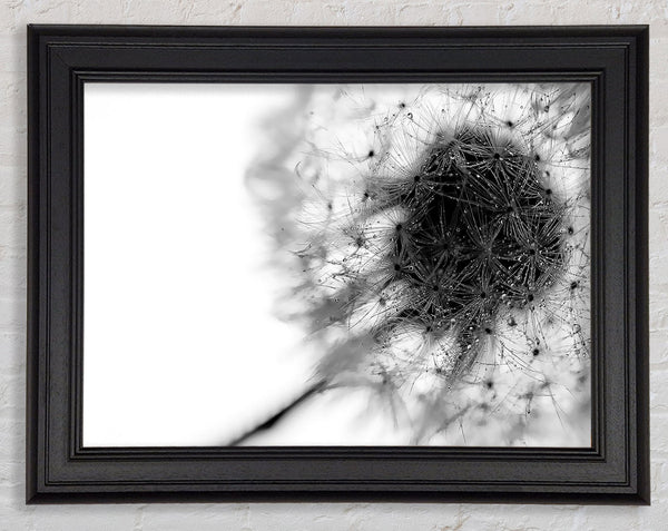 Dewdrop Heaven Framed Print