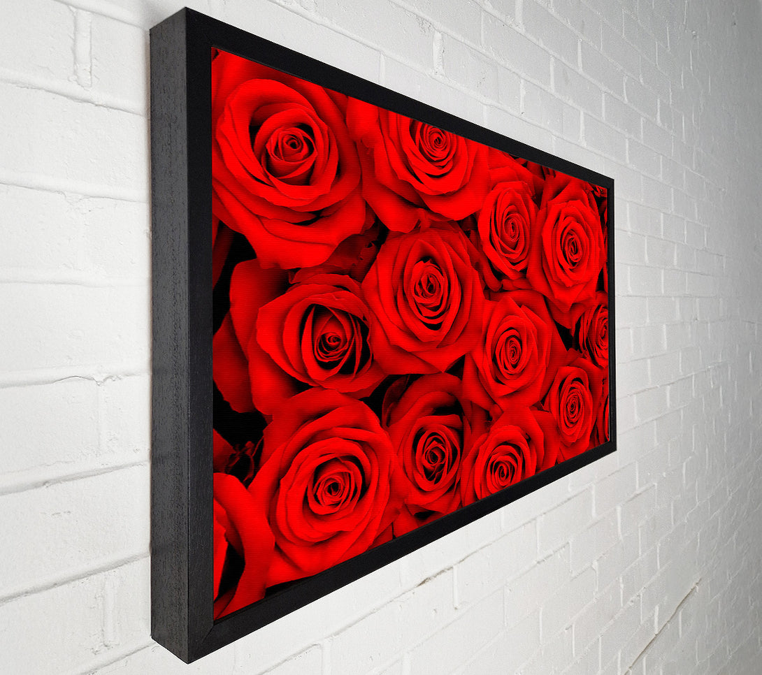  A Canvas Print of Lovely Roses For The One I Love Canvas Print