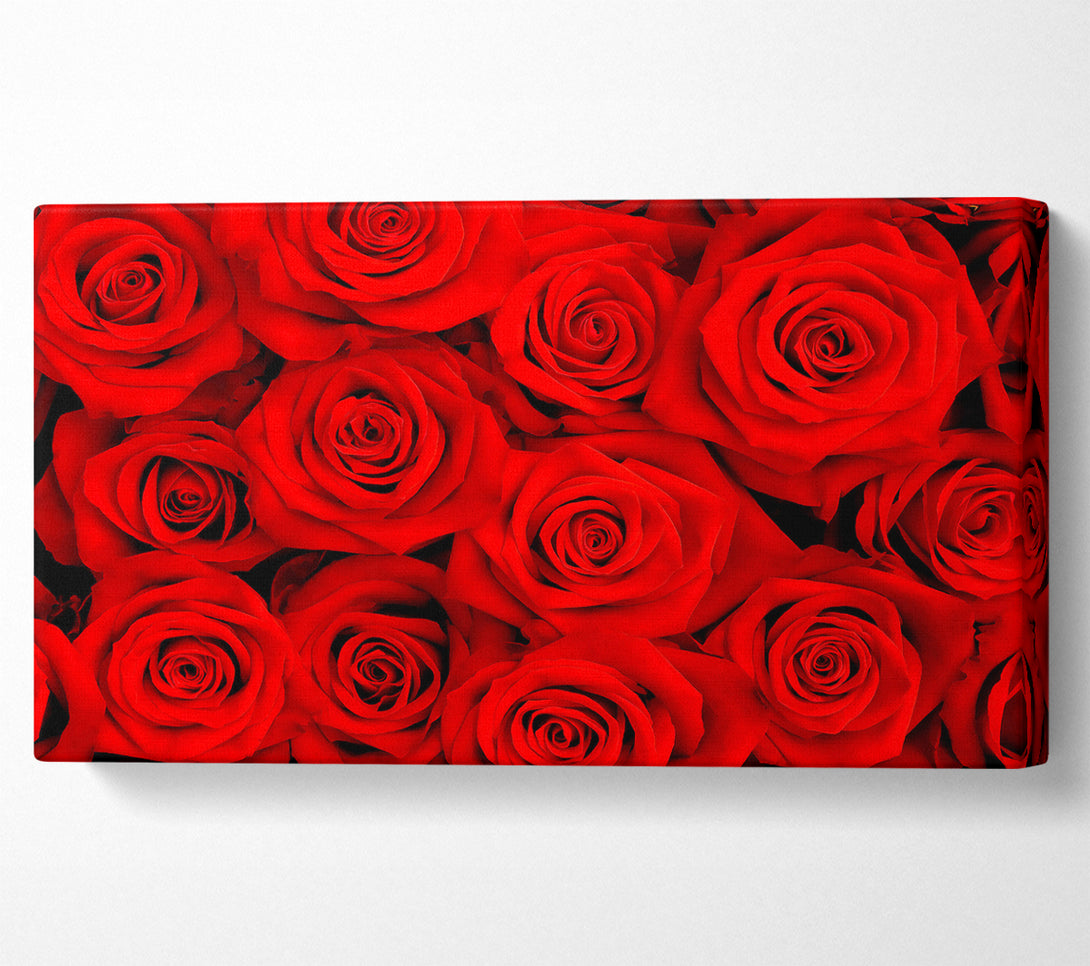  A Canvas Print of Lovely Roses For The One I Love Canvas Print
