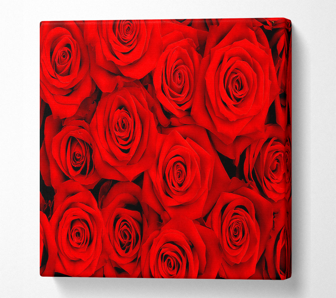  A Canvas Print of Lovely Roses For The One I Love Canvas Print