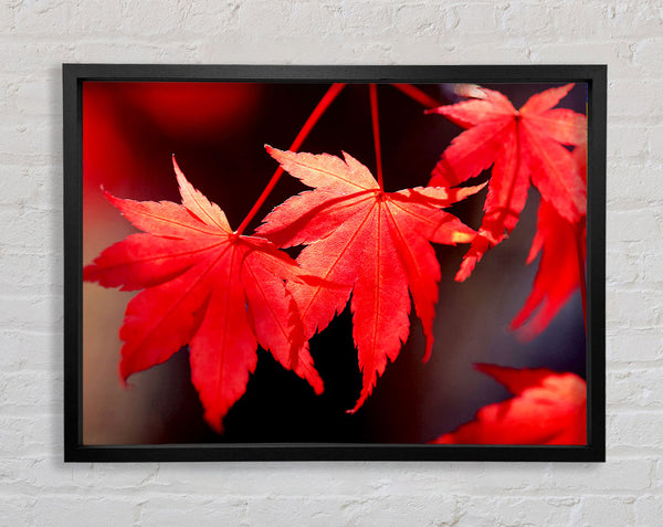 Winter Red Leaves Framed Print