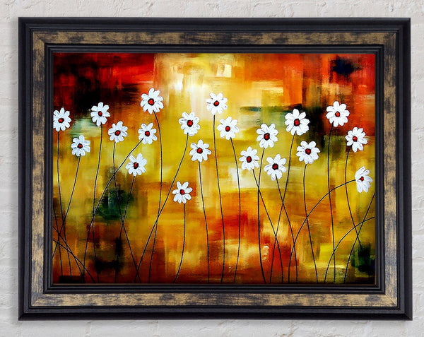 Daisy Whites Framed Print