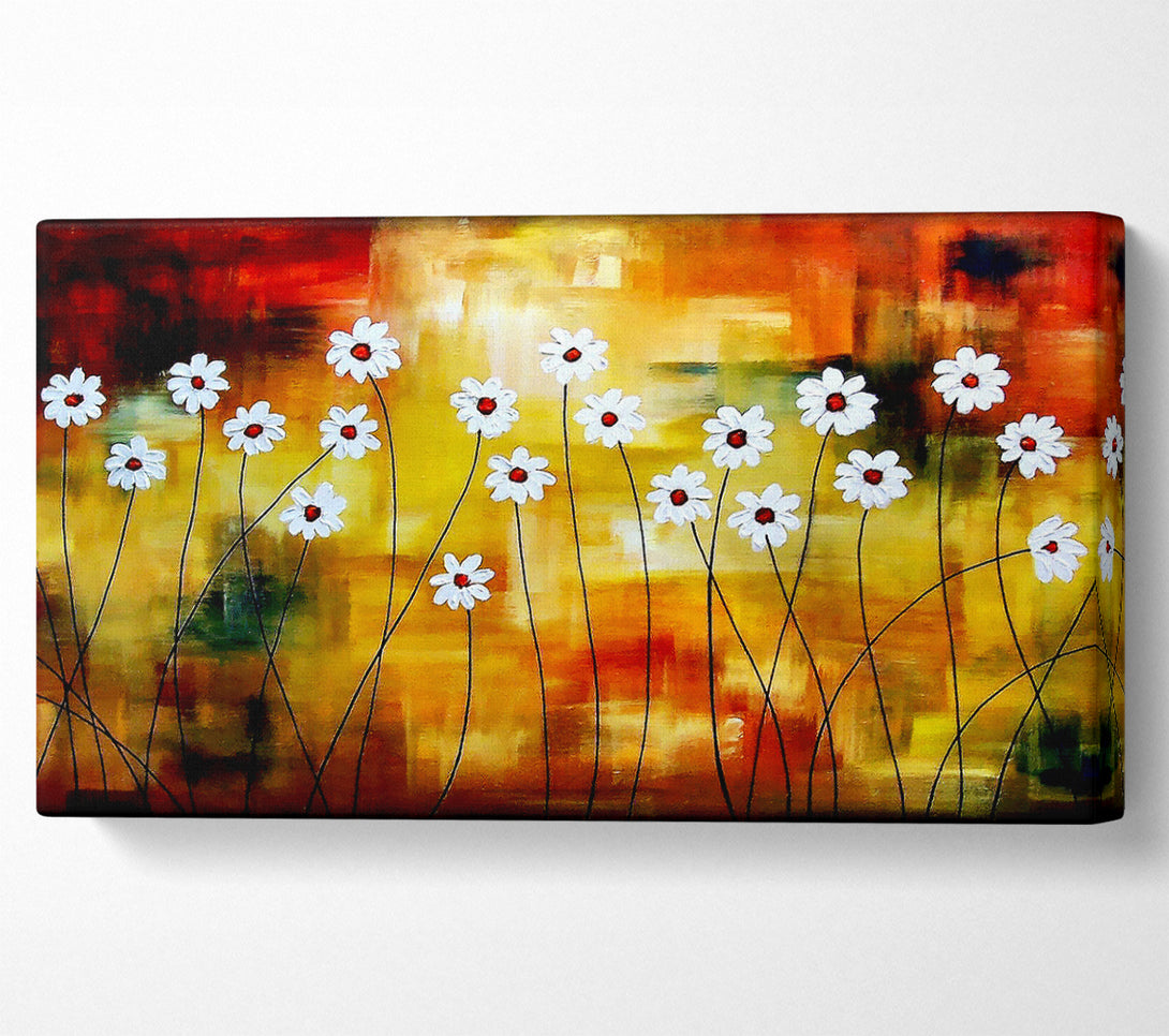  A Canvas Print of Daisy Whites Canvas Print