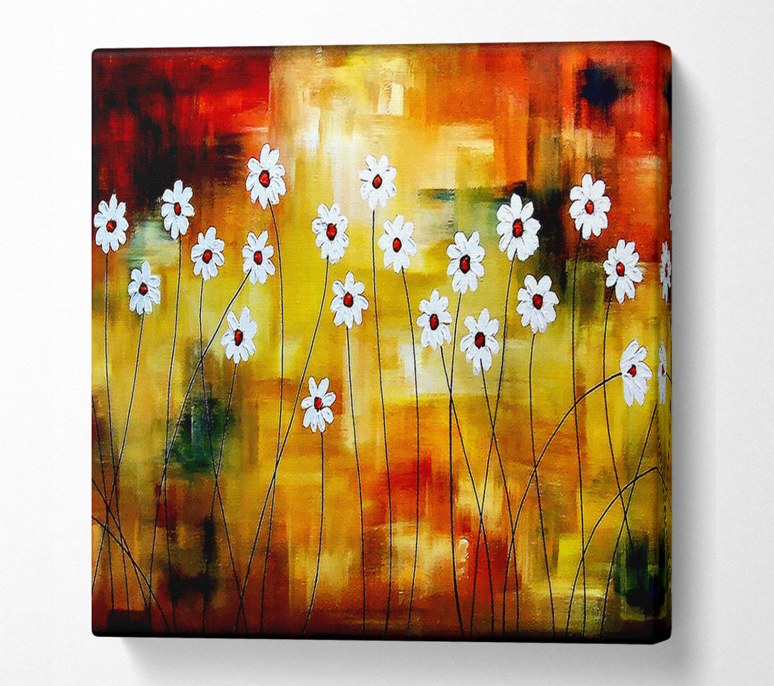  A Canvas Print of Daisy Whites Canvas Print