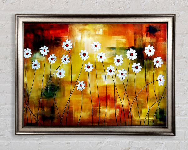 Daisy Whites Framed Print