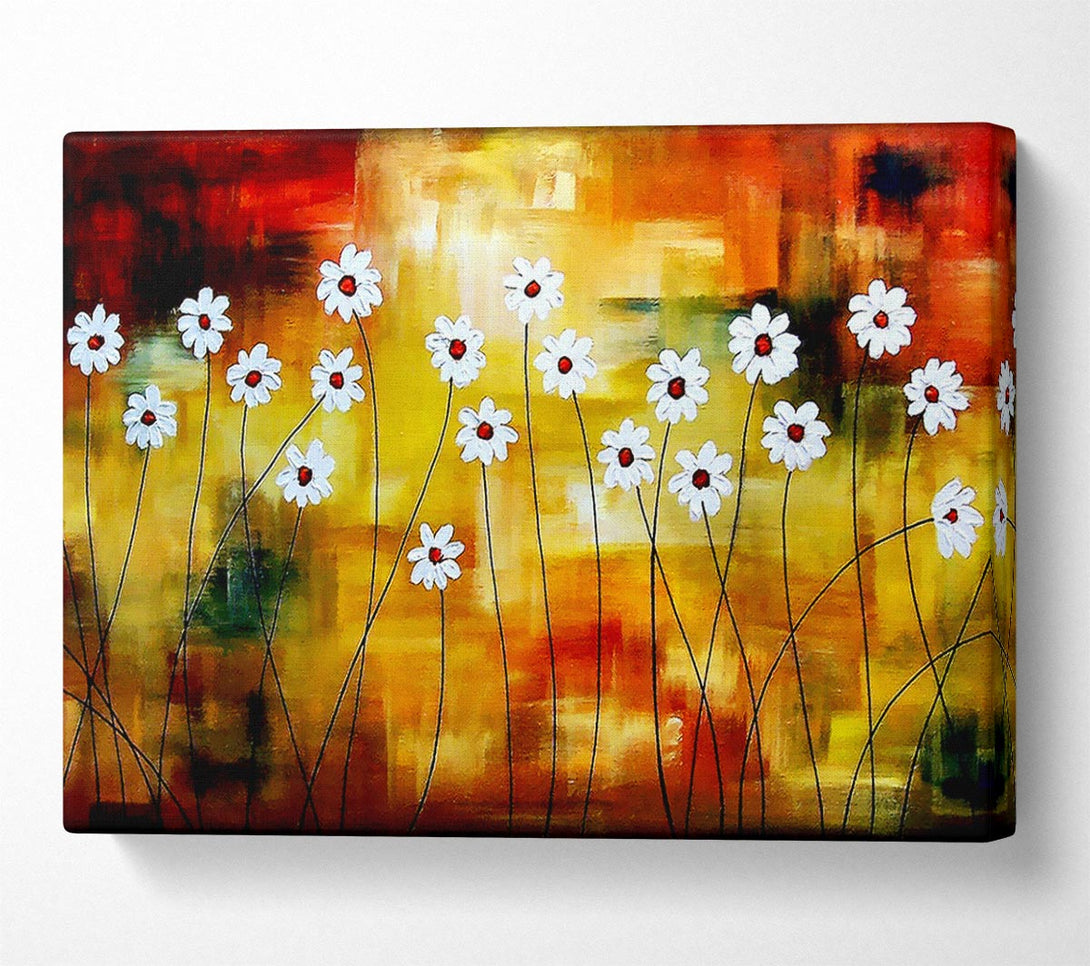  A Canvas Print of Daisy Whites Canvas Print