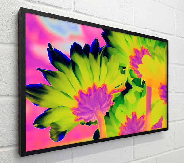 Psychedelic Petals