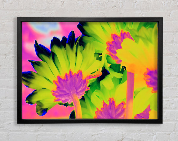 Psychedelic Petals Framed Print