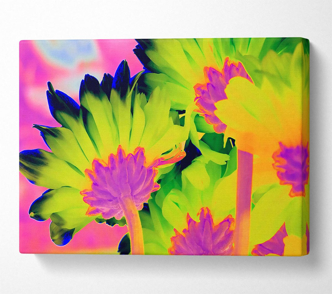 A Canvas Print of Psychedelic Petals Canvas Wall Art