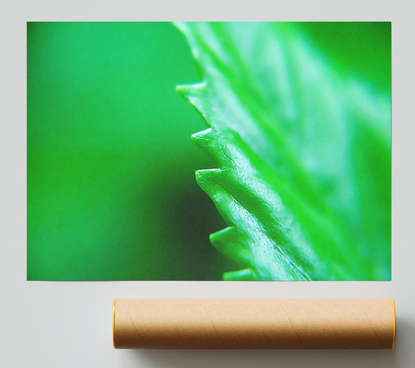 Jagged Green Leaves Print