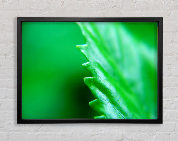 Jagged Green Leaves Framed Print