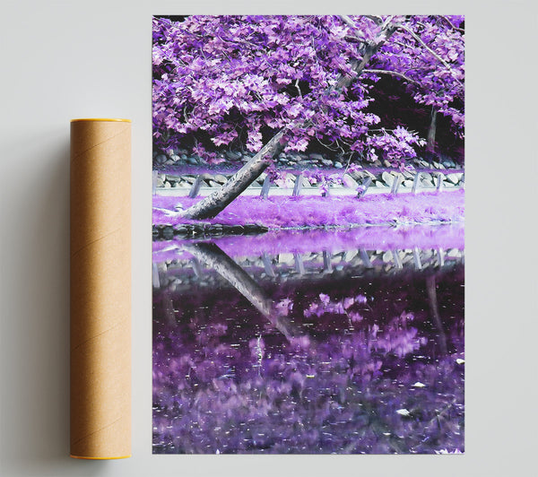 Lilac Walkway Giclee Print