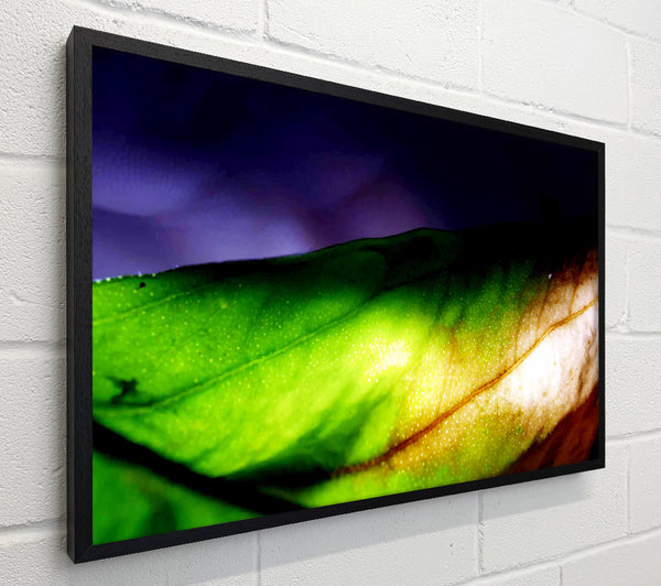 Vibrant Green Leaf Light