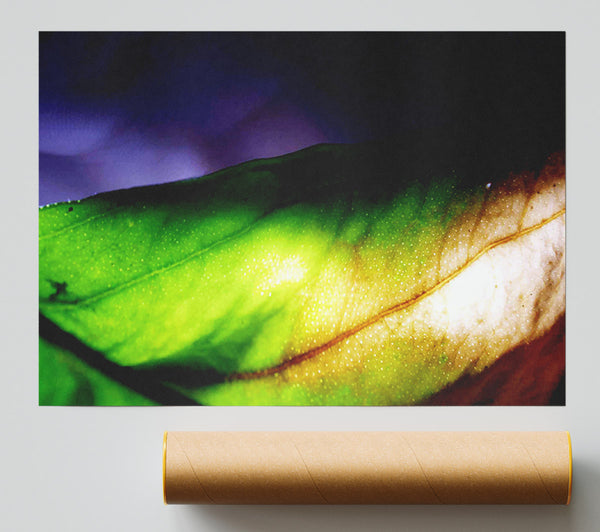 Vibrant Green Leaf Light Poster