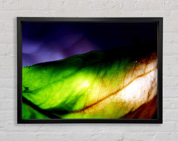 Vibrant Green Leaf Light Framed Print