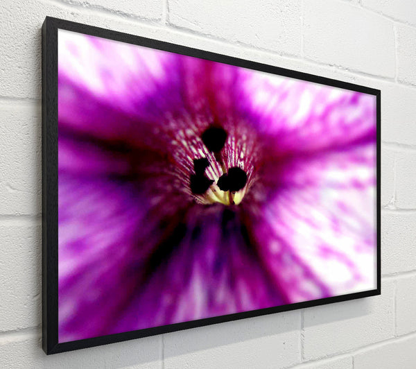 Stunning Cerise Centre