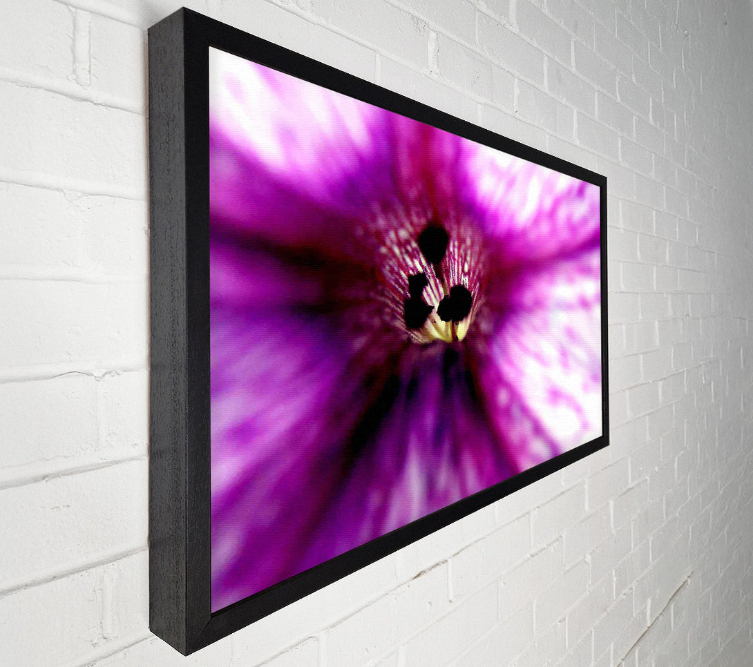  A Canvas Print of Stunning Cerise Centre Canvas Print
