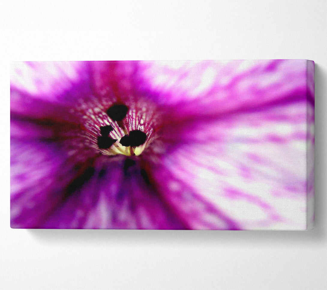  A Canvas Print of Stunning Cerise Centre Canvas Print