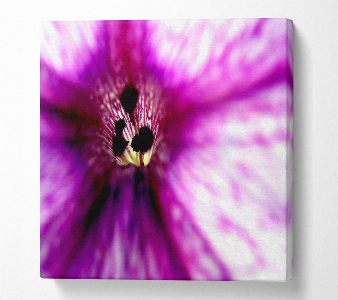  A Canvas Print of Stunning Cerise Centre Canvas Print