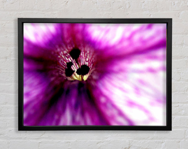 Stunning Cerise Centre Framed Print