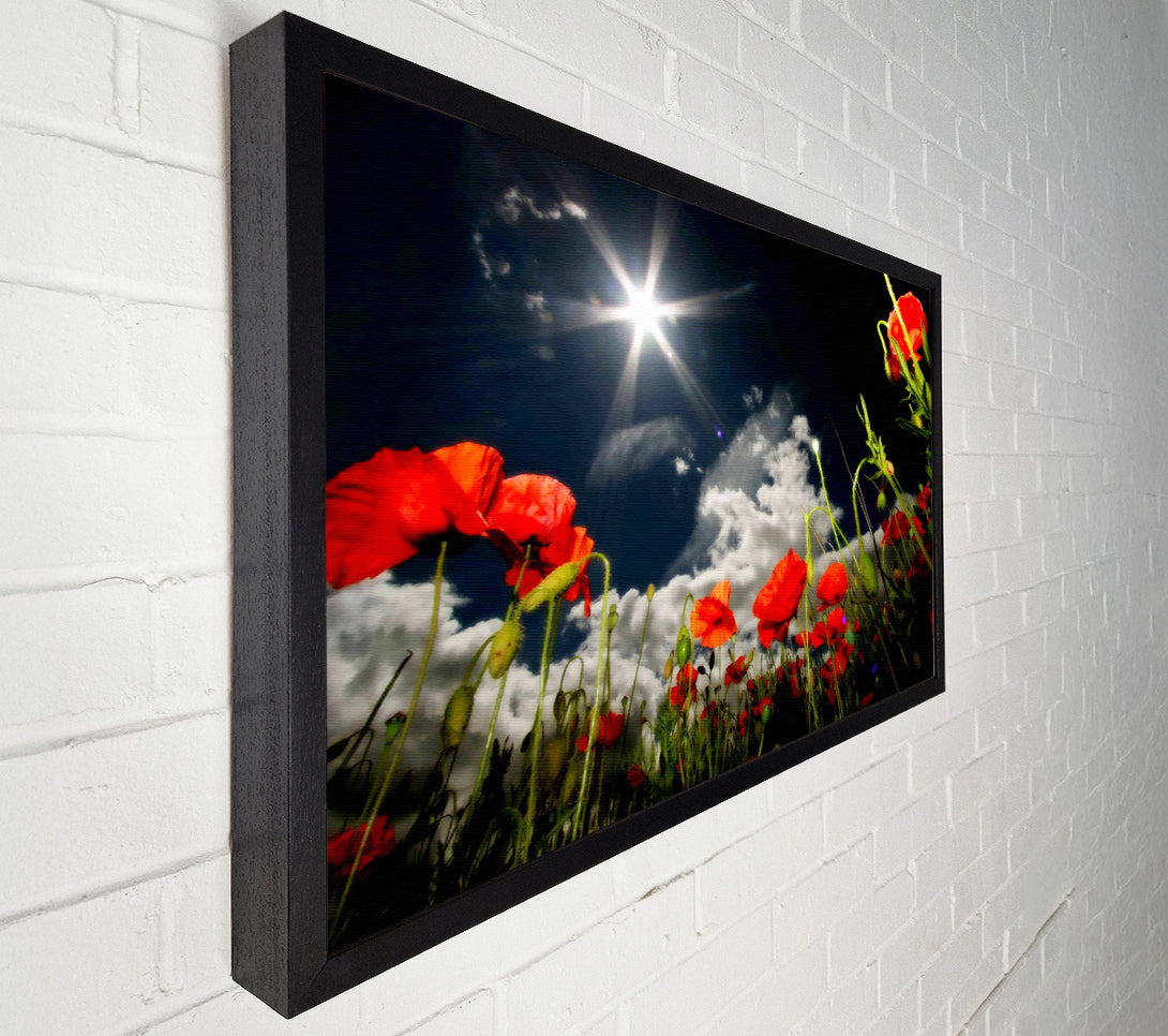  A Canvas Print of Poppy Field Sun Star Canvas Art