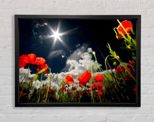 Poppy Field Sun Star Framed Print