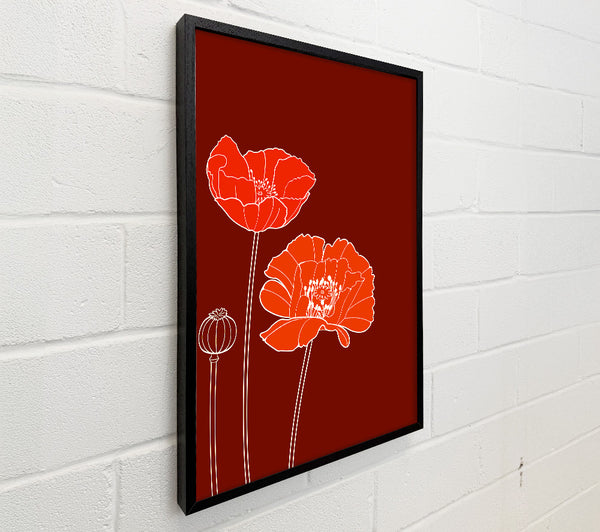 Red Poppies Maroon