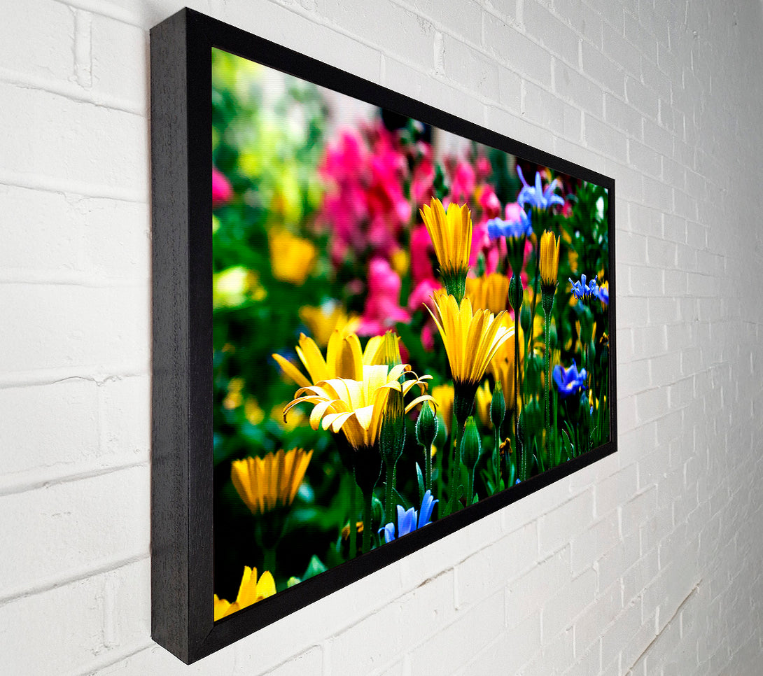  A Canvas Print of Vail Flowers In Colorado Canvas Print