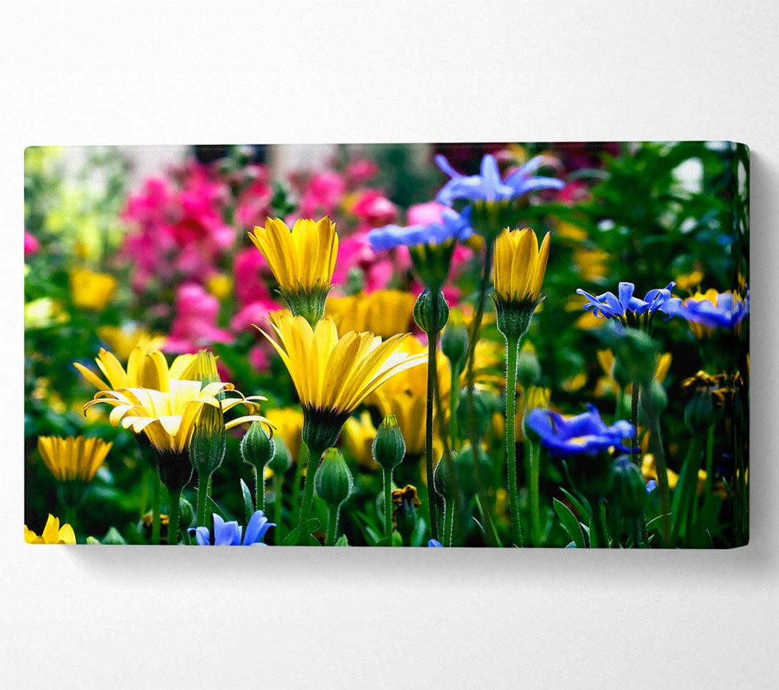  A Canvas Print of Vail Flowers In Colorado Canvas Print