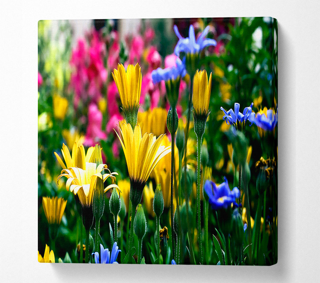  A Canvas Print of Vail Flowers In Colorado Canvas Print