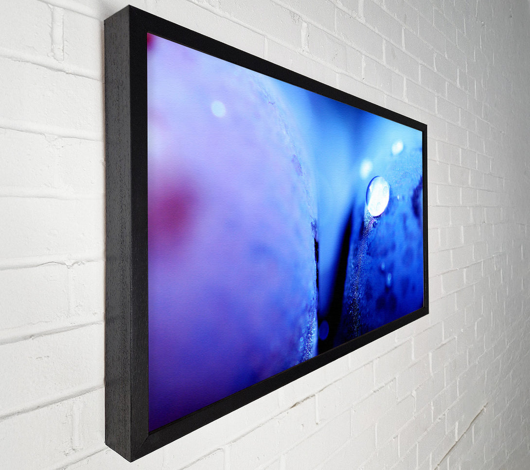  A Canvas Print of Blue Petal Water Droplet Canvas Wall Art