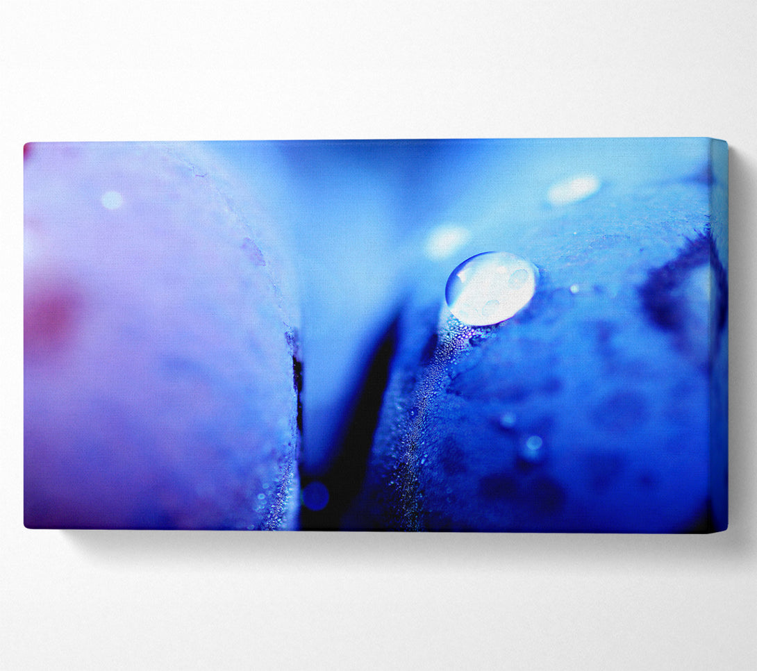  A Canvas Print of Blue Petal Water Droplet Canvas Wall Art